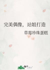 完美偶像站姐打造txt