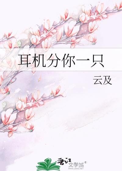 耳机多少钱一个