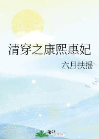 清穿之康熙后妃惠妃