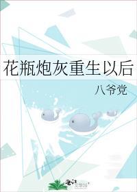 花瓶炮灰重生以后免费阅读