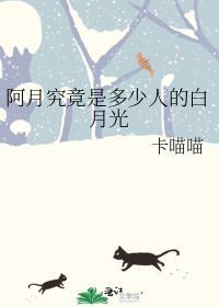 我的alpha有双重人格读书网