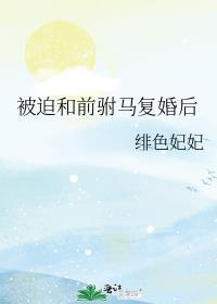 被迫和前驸马复婚后昭儿