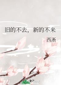 旧的不去新的不来什么意思是什么