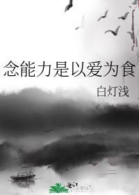 念能力是以爱为食笔趣阁