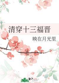 清穿十三福晋南水