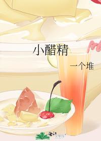 小醋精TXT