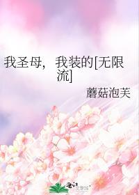 我是圣母是什么意思