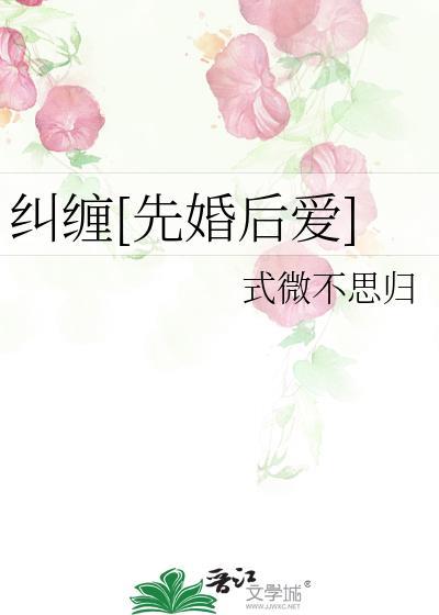 纠缠全文