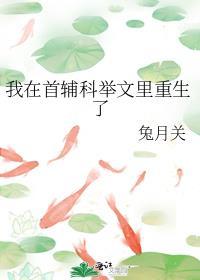 我在首辅科举文里重生了免费阅读