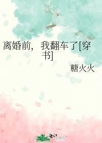 离婚之前免费阅读