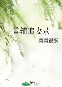 首辅追妻守则