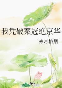 我凭破案冠绝京华全文免费