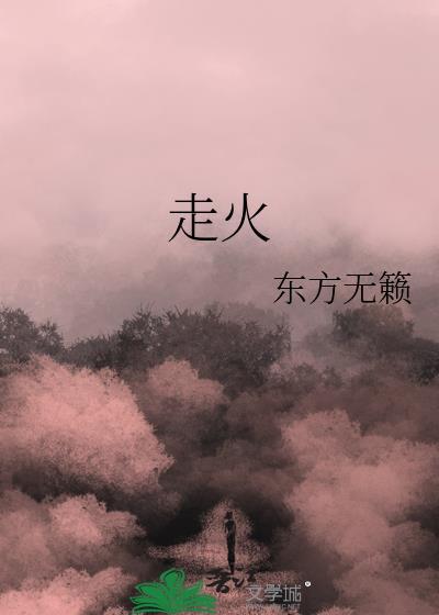 走火电视剧40集免费完整版
