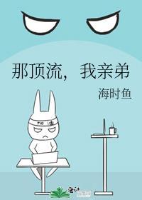 顶流他弟去选秀了晋江