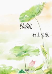 续嫁全本TXT