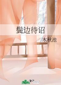 鬓边待诏番外