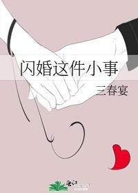 闪婚这件小事晋江