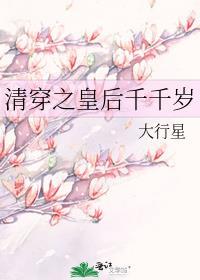 清穿之皇后千千岁txt介绍