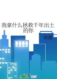 我拿什么拯救你歌词