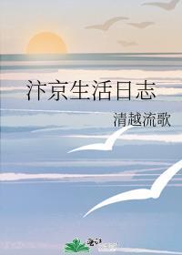 汴京生活日志在线阅读