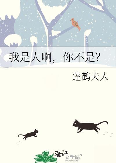 我是人不是神歌词