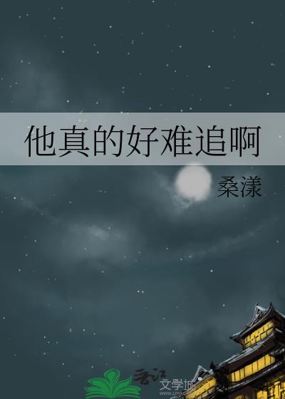 他真的好难追啊txt