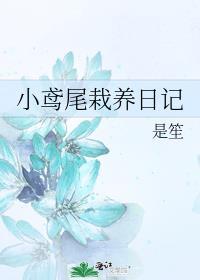 小鸢尾栽养日记笔趣阁免费阅读