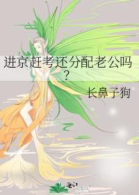进京赶考还分配老公吗?全文免费阅读未删减版