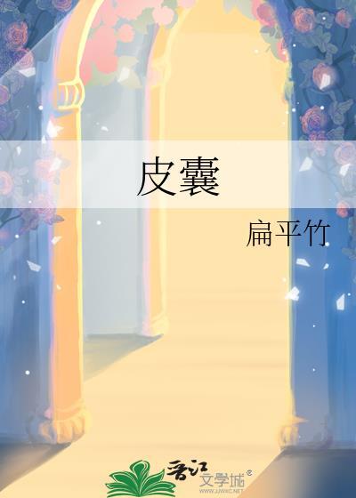 皮囊txt