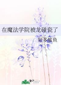 在魔法学院任教的日子