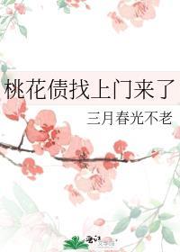 桃花债说什么