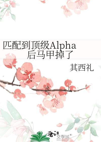 匹配到顶级Alpha后马甲掉了 作者其西 ...