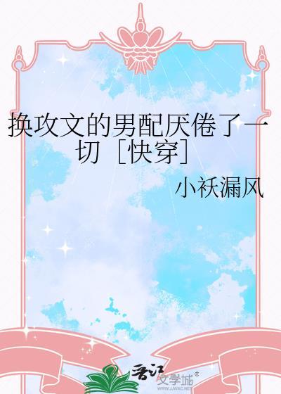 换攻文啥意思