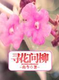 何か 何