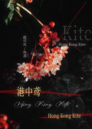港中鸢起司霓最新章节更新时间
