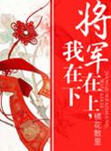 将军在上我在下原著