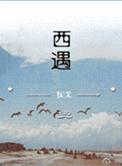 西遇美容中心是正规的吗