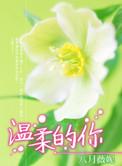 温柔的你歌曲歌词