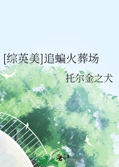 综英美追蝙火葬场TXT