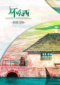 坏东西墨西柯完整版