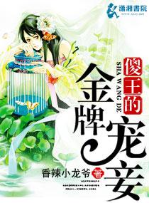 傻王的金牌宠妾免费阅读全文下