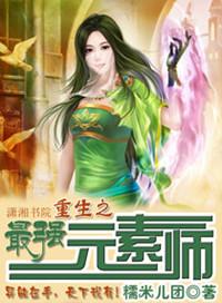 重生之最强元素师免费看