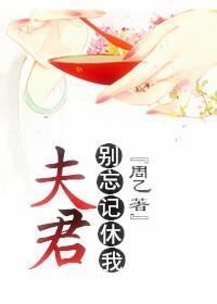 夫君别忘记休我 讲的什么