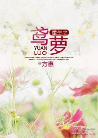 鸢罗txt