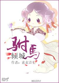 驸马倾城讲什么的