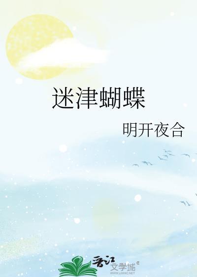 迷蝶啥意思