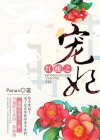 红楼之宠妃 txt