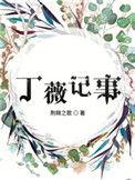 丁薇记事在线听书