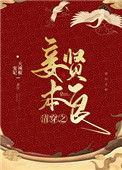 清穿之妾本贤良 完结+番外