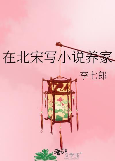 在北宋写养家txt百度